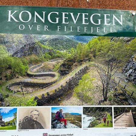 Mjosvang Kafe Vang I Valdres المظهر الخارجي الصورة